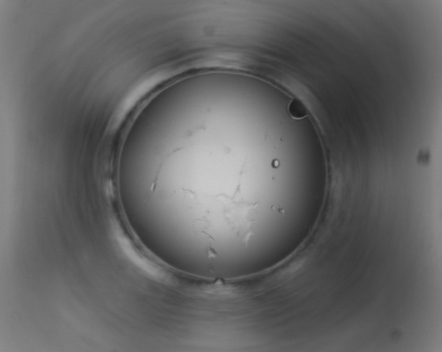 X0000114181131200910081453