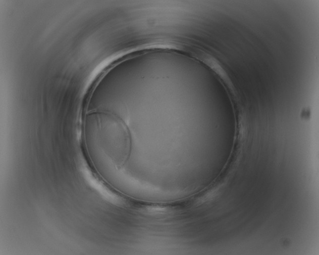 X0000114181132200910081453