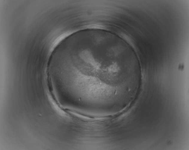 X0000114181133200910081453