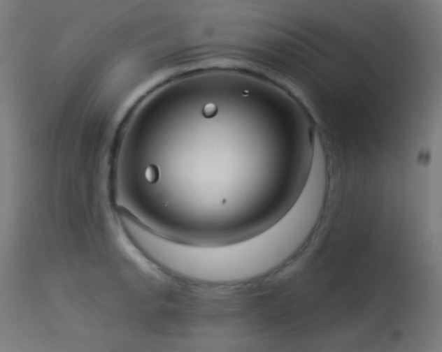 X0000114181134200910081453