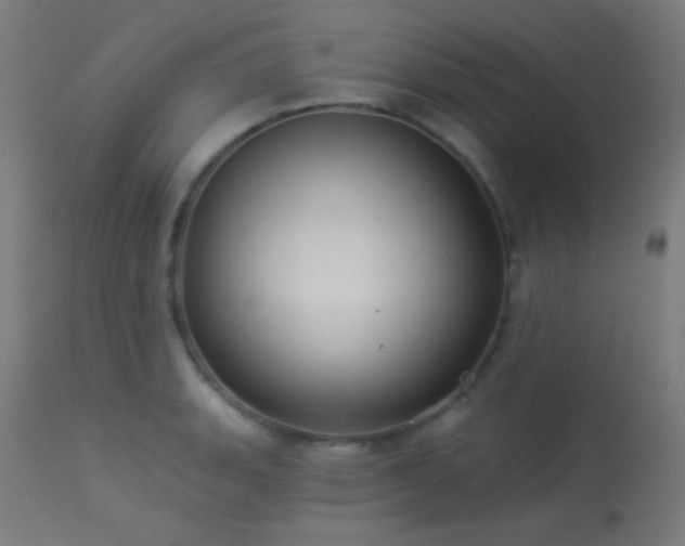 X0000114181135200910081453