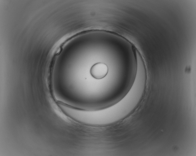 X0000114181136200910081453