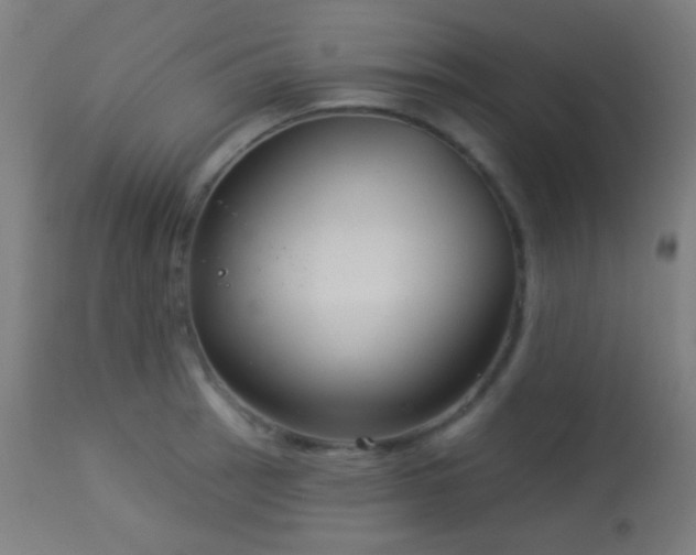 X0000114181137200910081453