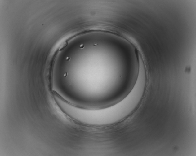 X0000114181138200910081453