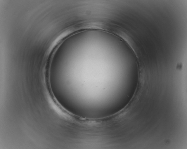 X0000114181139200910081453