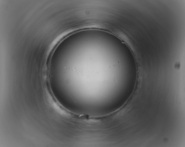 X0000114181140200910081453