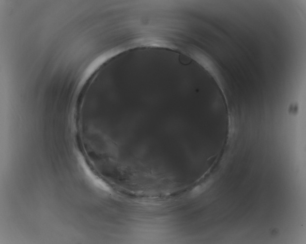 X0000114181141200910081453