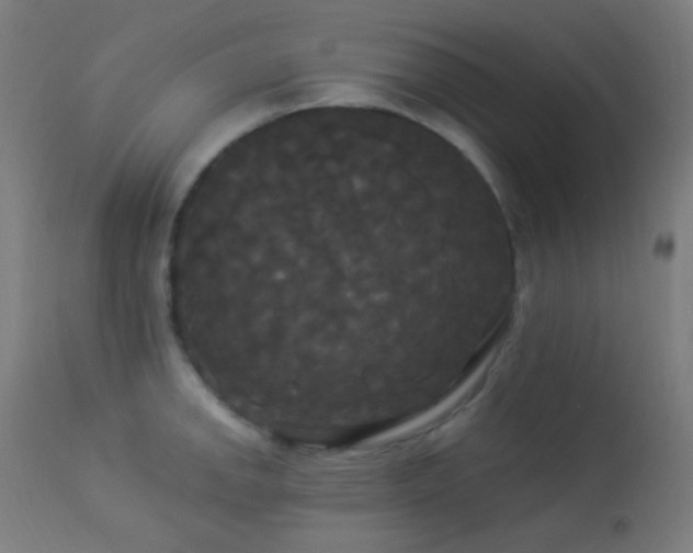 X0000114181142200910081453