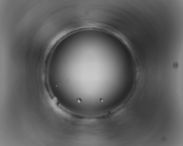 X0000114181143200910081453