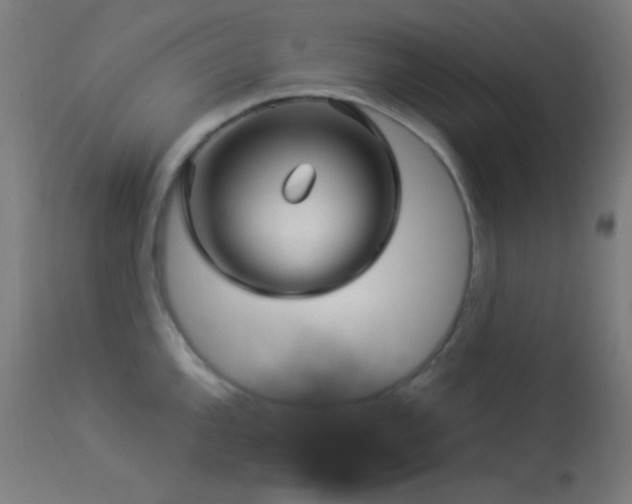 X0000114181144200910081453