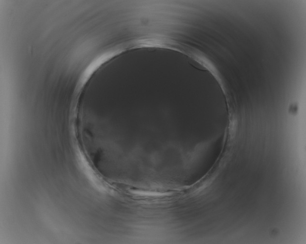 X0000114181146200910081453