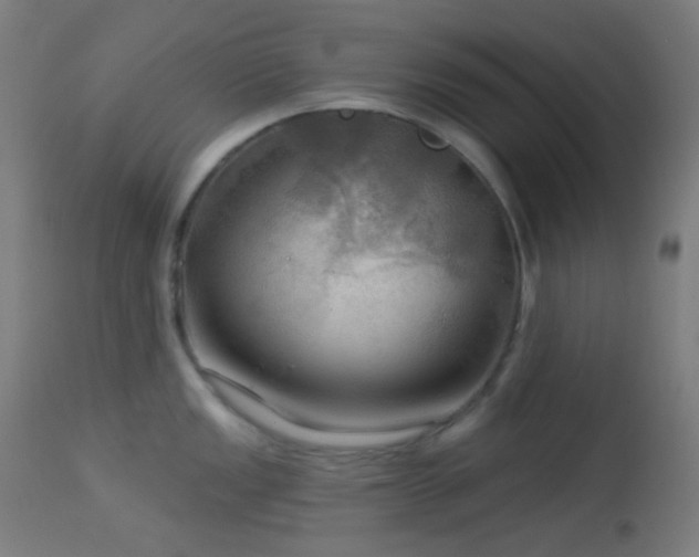 X0000114181149200910081453