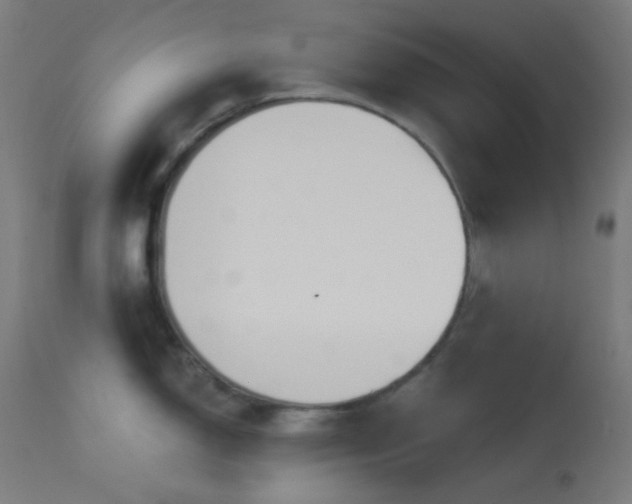 X0000114181150200910081453