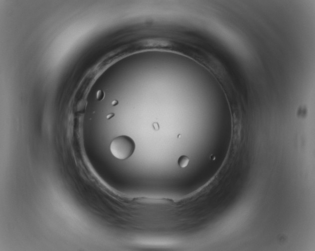 X0000114181151200910081453