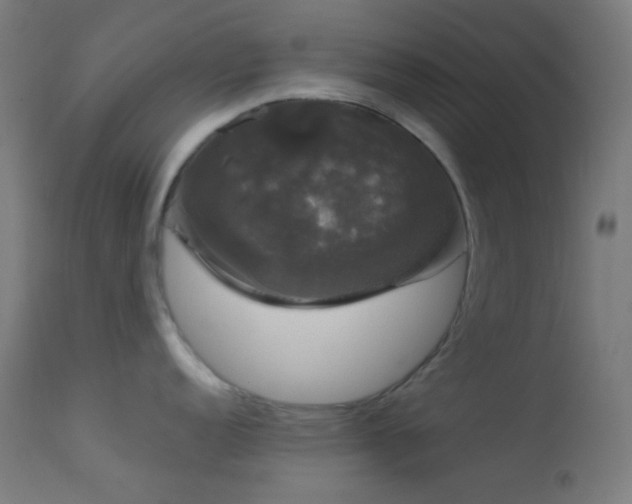 X0000114181152200910081453