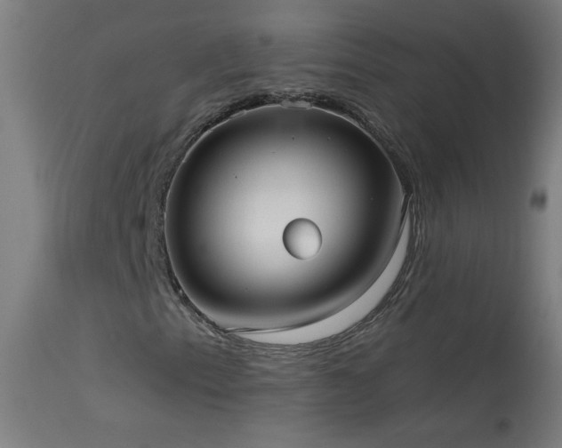 X0000114181153200910081452