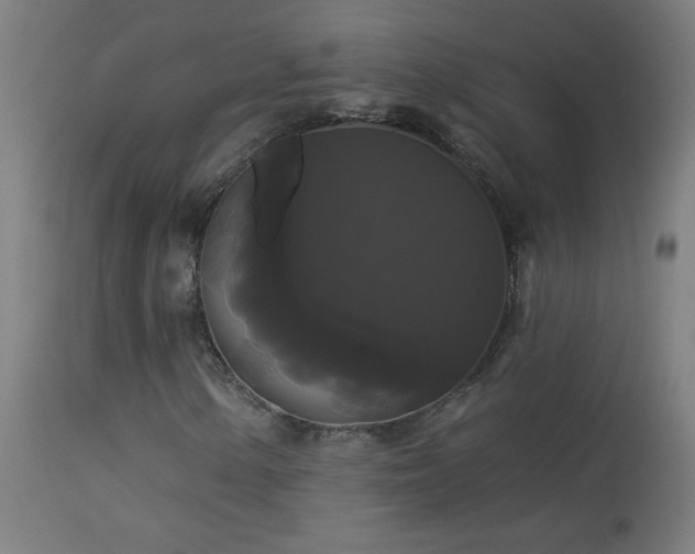 X0000114181154200910081452