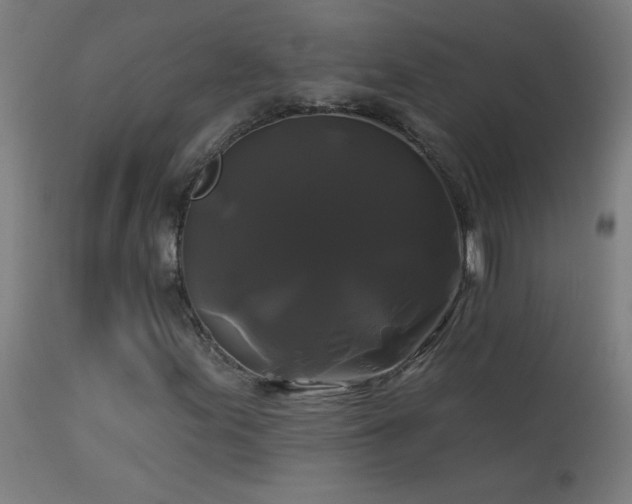 X0000114181155200910081452