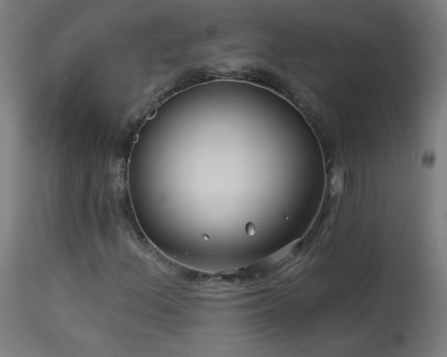 X0000114181156200910081452