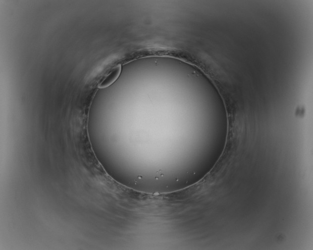 X0000114181157200910081452