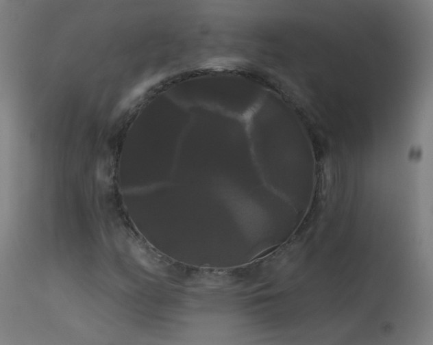 X0000114181158200910081452