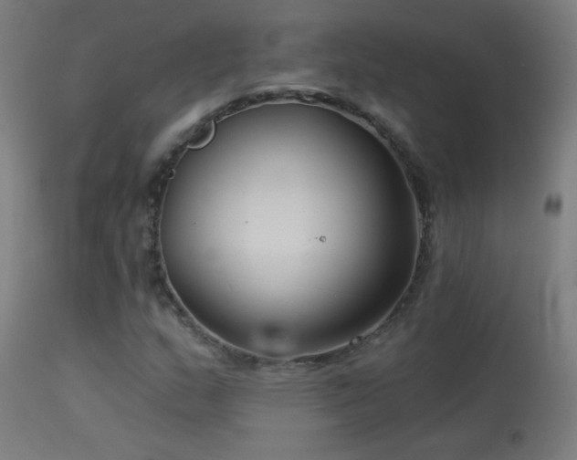 X0000114181159200910081452
