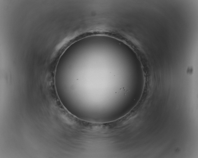 X0000114181160200910081452
