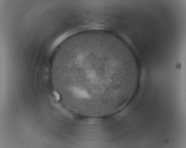 X0000114181163200910081452