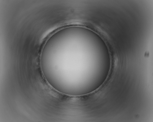 X0000114181166200910081452