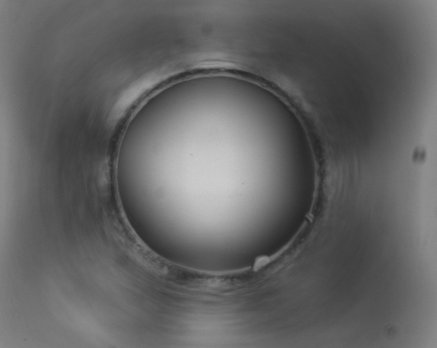 X0000114181167200910081452
