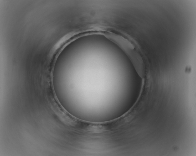 X0000114181168200910081452