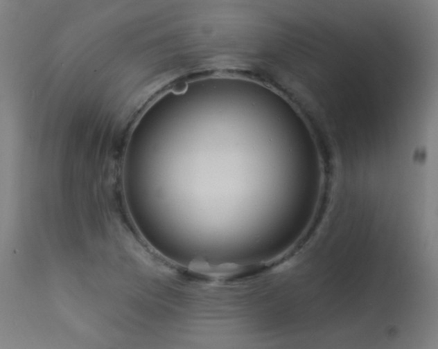 X0000114181169200910081452