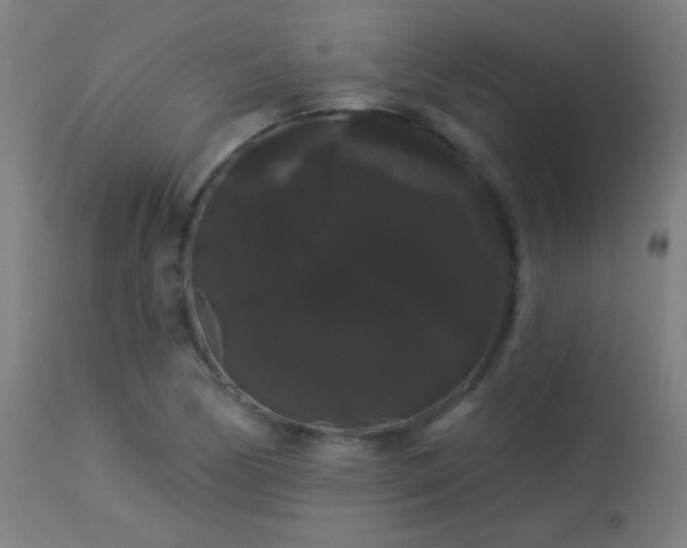 X0000114181170200910081452