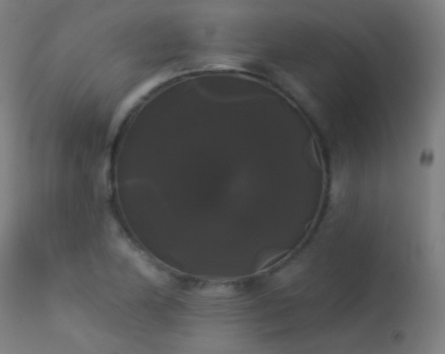 X0000114181174200910081452