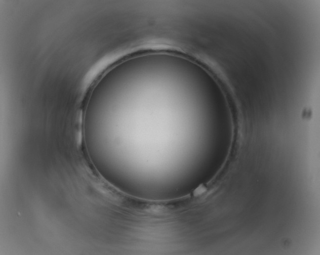 X0000114181175200910081452
