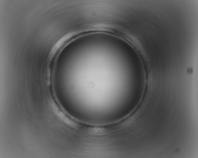 X0000114181180200910081452