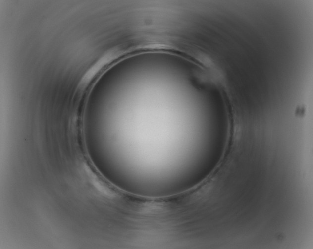 X0000114181181200910081452