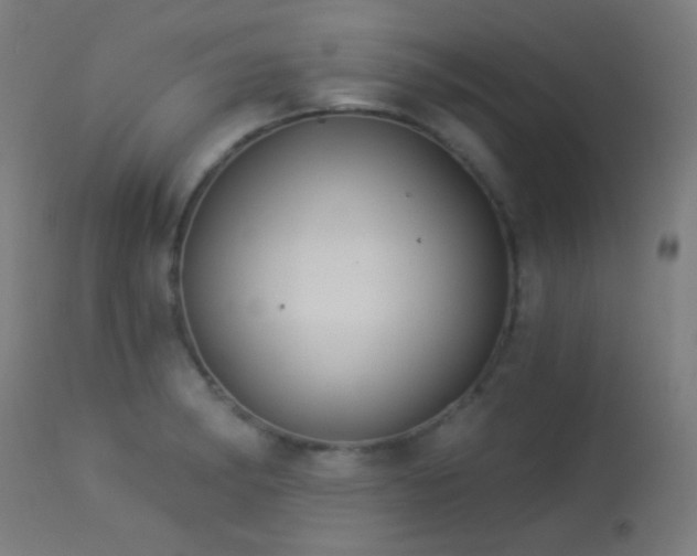 X0000114181182200910081452