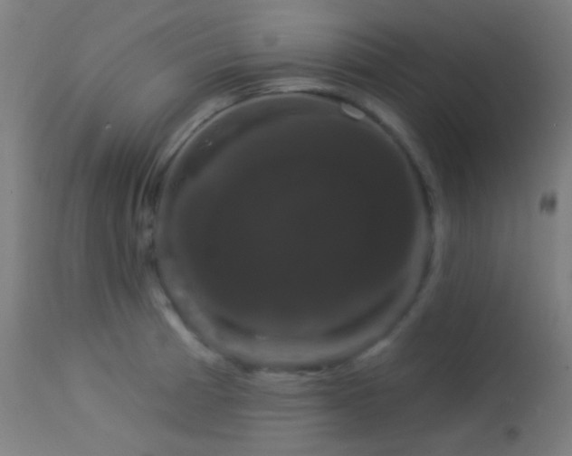X0000114181185200910081452