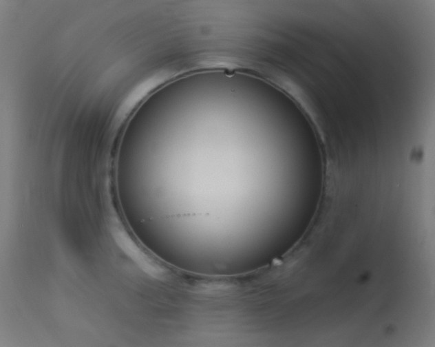 X0000114181187200910081452