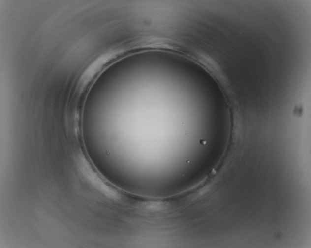 X0000114181188200910081452