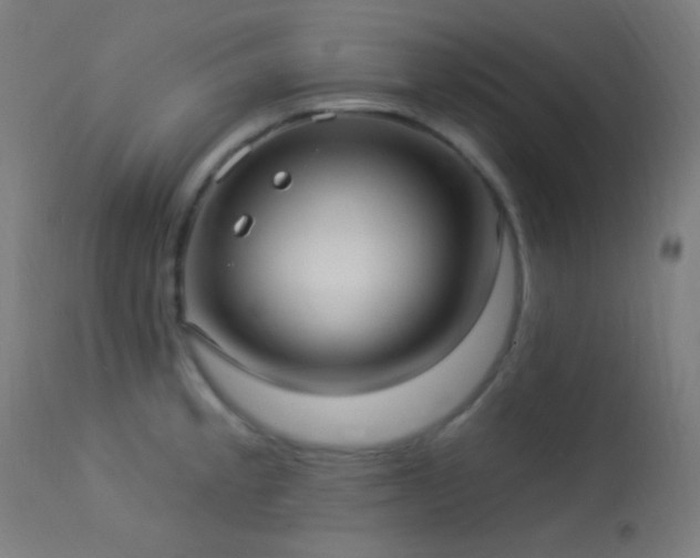 X0000114181189200910081452