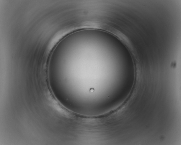 X0000114181192200910081452