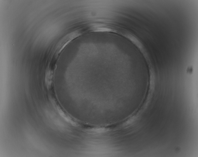 X0000114181193200910081452