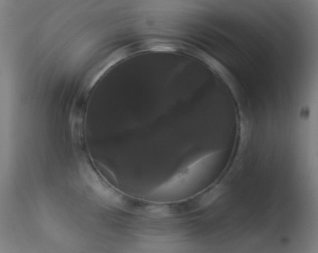 X0000114181194200910081452