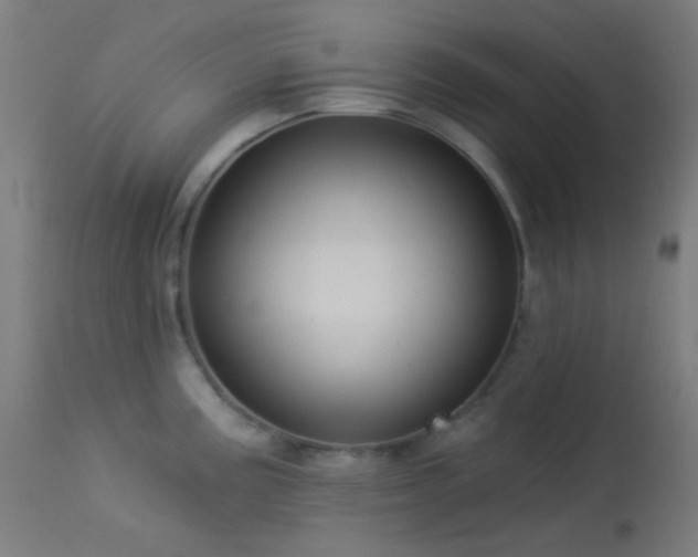 X0000114181195200910081452