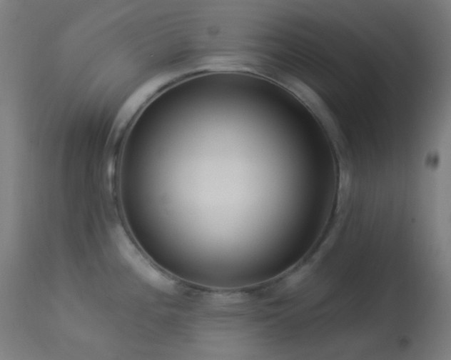 X0000114181196200910081452