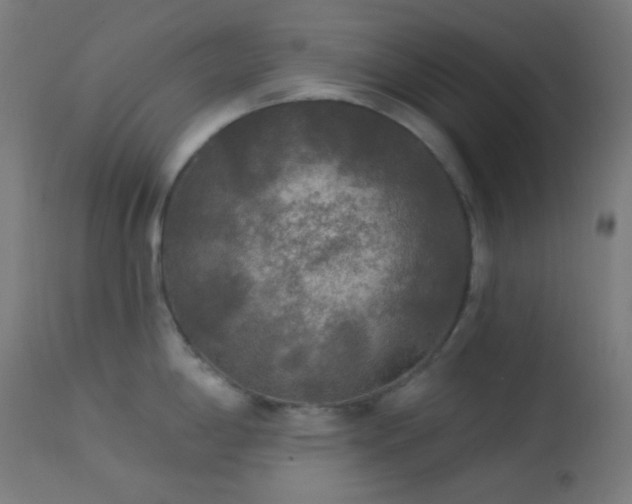 X0000114181198200910081452