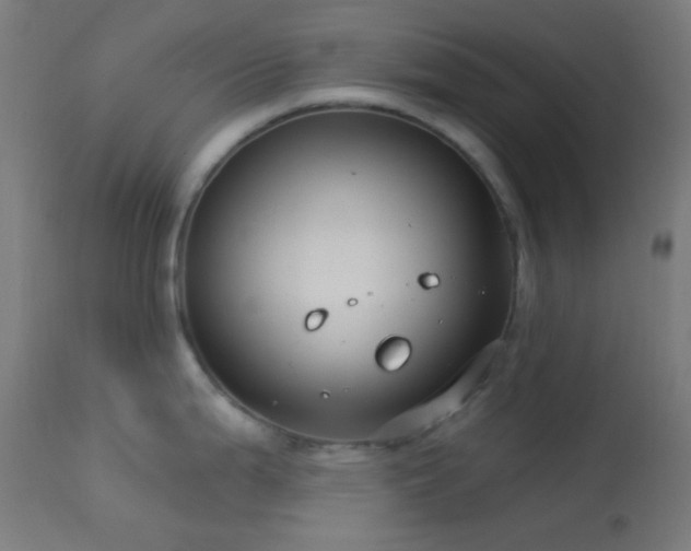 X0000114181199200910081452