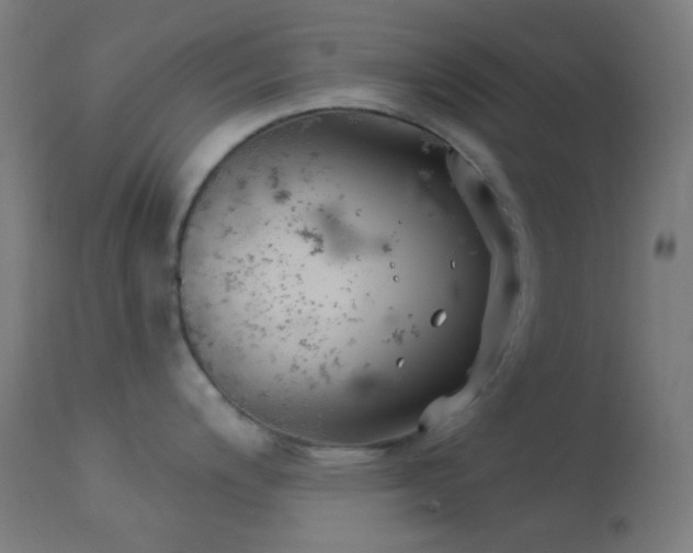 X0000114181200200910081452